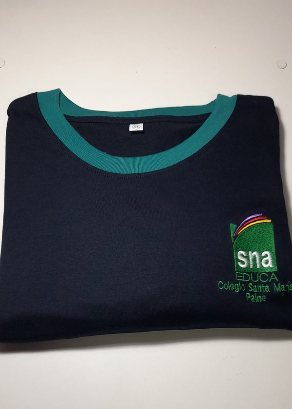 polera polo colegio santa maria paine